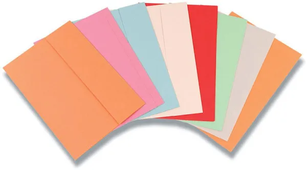 Carpeta de cartón FERCO-Danblok